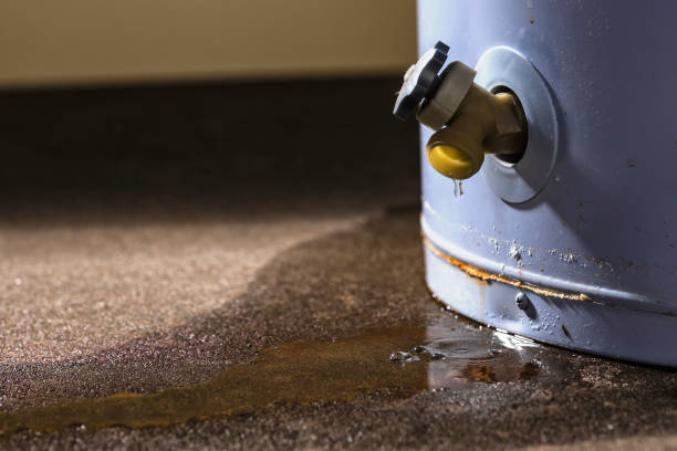 Best Ceiling water damage repair  in Spencerville, NM