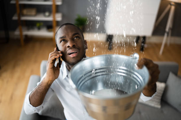 Best Sewage cleanup and water damage restoration  in Spencerville, NM