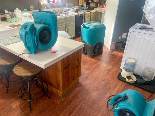 Best Professional water damage repair  in Spencerville, NM