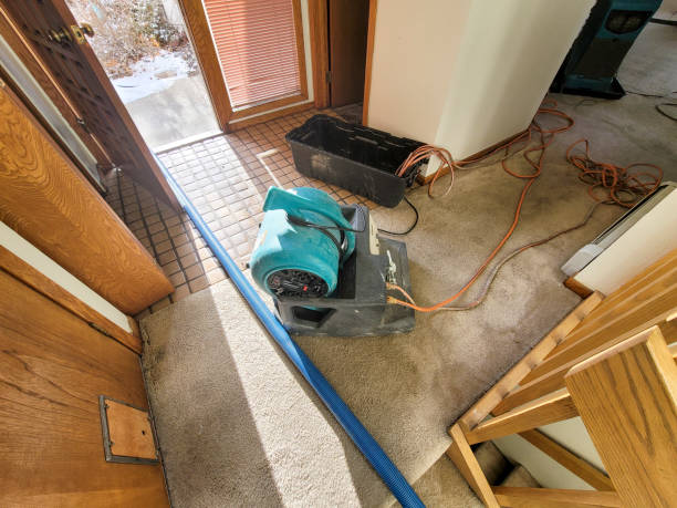 Best Water damage contractors near me  in Spencerville, NM