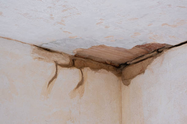 Best 24-hour water damage restoration  in Spencerville, NM
