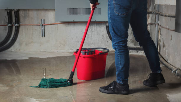 Best Local water damage restoration  in Spencerville, NM