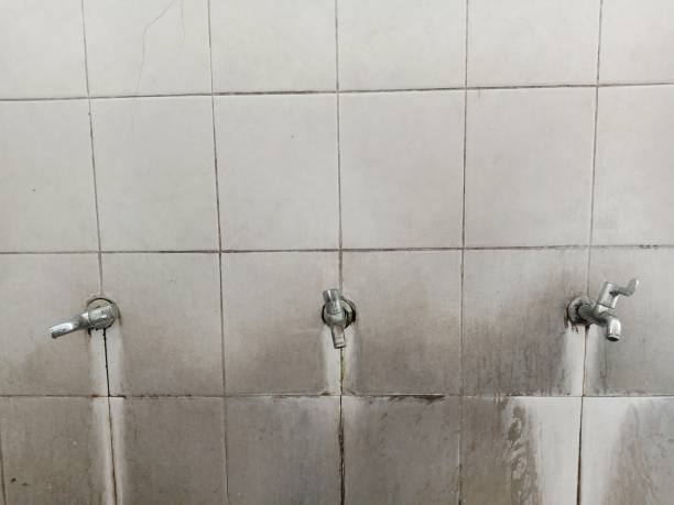Best Flood restoration services  in Spencerville, NM